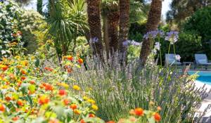 Verkauf Haus Saint-Paul-de-Vence