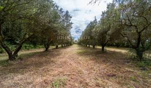 Verkauf Haus Taillades