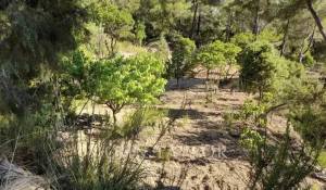 Verkauf Kate Santa Eularia des Riu