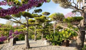 Verkauf Landhaus Bonnieux