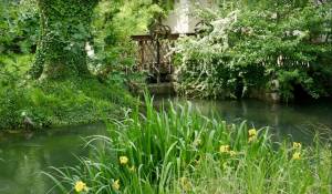 Verkauf Landhaus L'Isle-sur-la-Sorgue