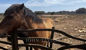 Verkauf Pension Mahón