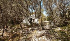 Verkauf Pension Mahón