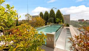 Verkauf Penthouse Madrid