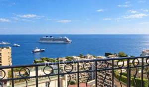 Verkauf Penthouse Monaco