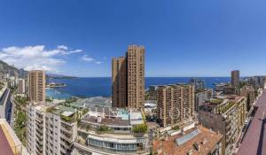 Verkauf Penthouse Monaco