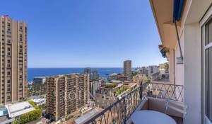 Verkauf Penthouse Monaco