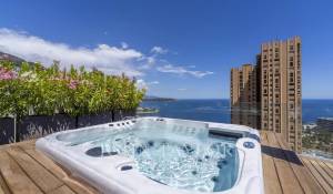 Verkauf Penthouse Monaco