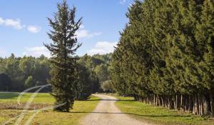 Verkauf Reitergut Barbentane