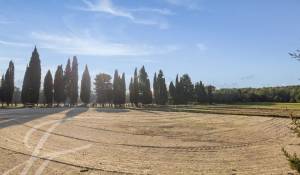 Verkauf Reitergut Barbentane