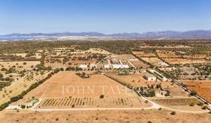 Verkauf Reitergut Llucmajor