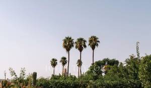 Verkauf Riad Marrakech