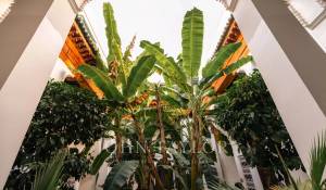 Verkauf Riad Marrakech