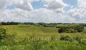 Verkauf Schloß Bordeaux