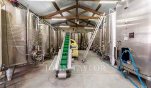 Verkauf Schloß Bordeaux