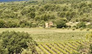 Verkauf Schloß Gordes