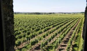 Verkauf Schloß Saint-Émilion