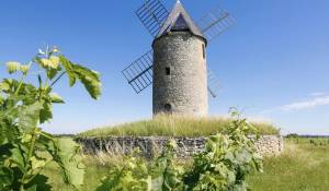 Verkauf Schloß Saint-Émilion