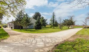 Verkauf Schloß Saint-Émilion