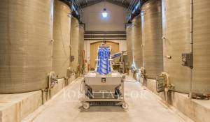 Verkauf Schloß Saint-Émilion