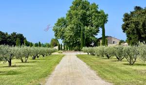 Verkauf Steinhaus L'Isle-sur-la-Sorgue