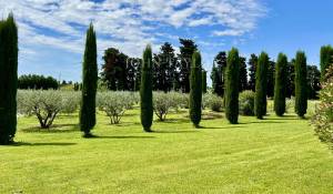 Verkauf Steinhaus L'Isle-sur-la-Sorgue