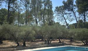 Verkauf Steinhaus Saint-Rémy-de-Provence