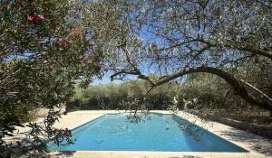 Verkauf Steinhaus Saint-Rémy-de-Provence