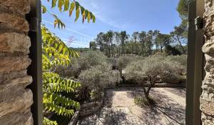 Verkauf Steinhaus Saint-Rémy-de-Provence