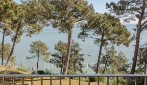 Verkauf Triplex Cap-Ferret