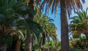 Verkauf Villa Antibes