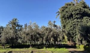 Verkauf Villa Marrakech