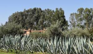 Verkauf Villa Marrakech