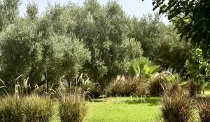 Verkauf Villa Marrakech
