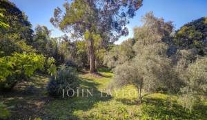 Verkauf Villa Mougins