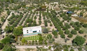 Verkauf Villa Santa Maria