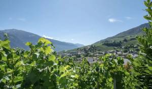 Verkauf Villa Sierre