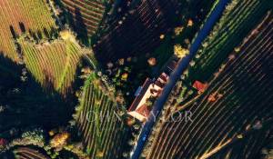 Verkauf Weingut Cambres