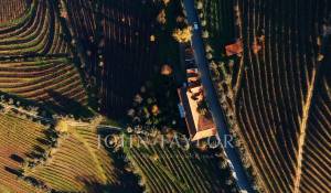 Verkauf Weingut Cambres