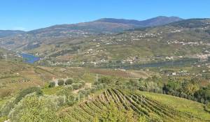 Verkauf Weingut Cambres