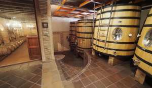 Verkauf Weingut Cuenca