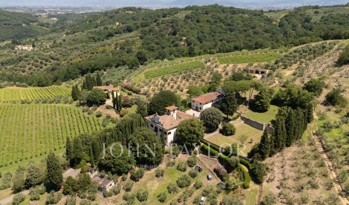 Verkauf Weingut Firenze
