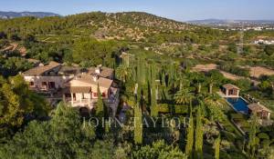 Verkauf Weingut Palma de Mallorca
