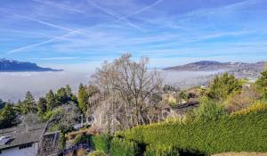 Verkauf Wohnung Brent