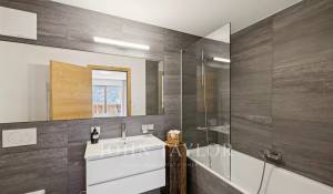 Verkauf Wohnung Champéry