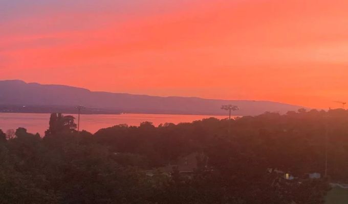 Verkauf Wohnung Cologny