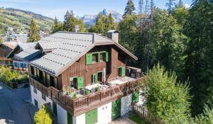 Verkauf Wohnung Megève