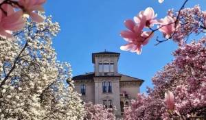 Verkauf Wohnung Milano