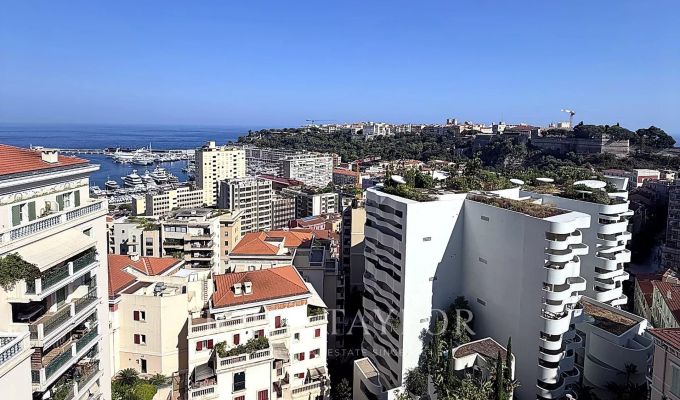 Verkauf Wohnung Monaco