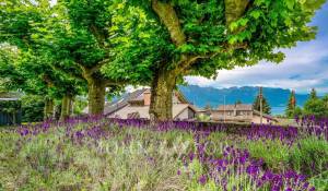 Verkauf Wohnung Montreux